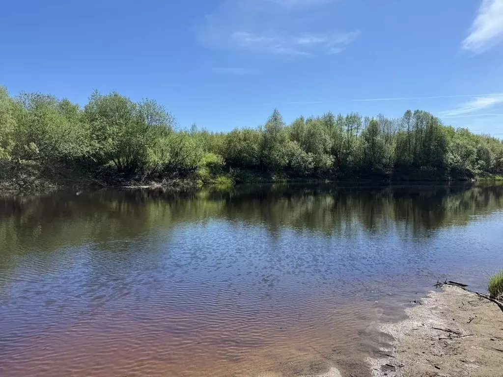 Участок в Вологодская область, д. Карцево  (8.0 сот.) - Фото 1