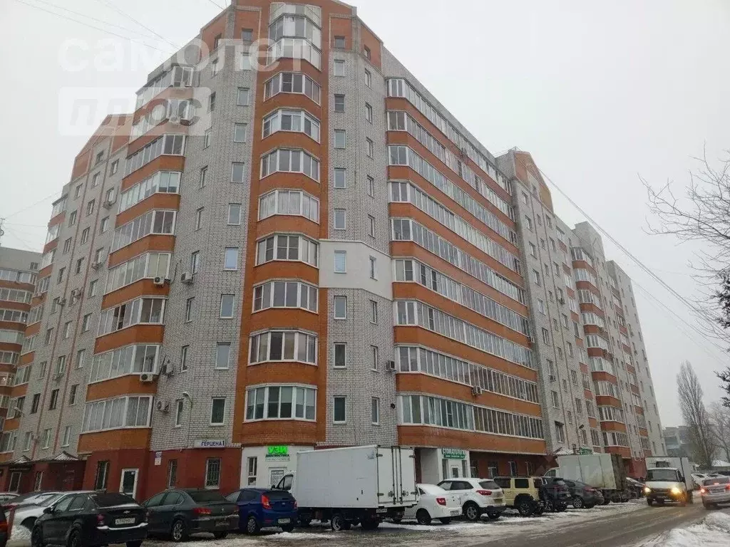 Офис в Курская область, Курск ул. Герцена, 1 (37 м) - Фото 1