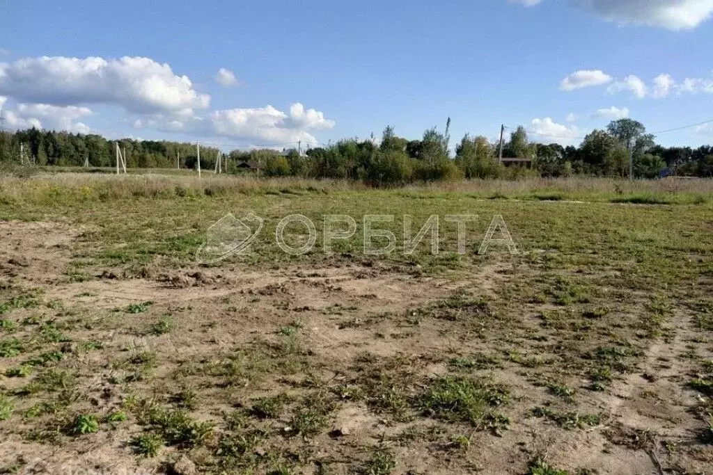 Участок в Тюменская область, Тюмень Энергостроитель СНТ, ул. Рябинушка ... - Фото 1