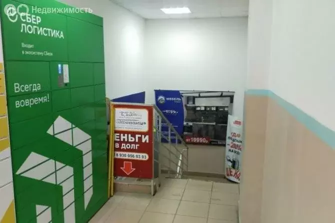 Помещение свободного назначения (781 м) - Фото 1