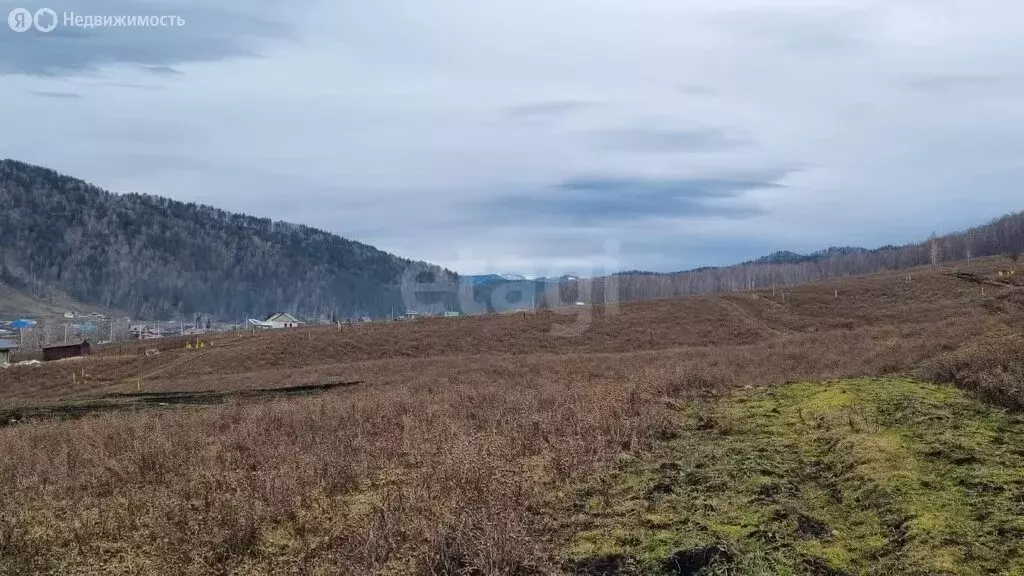 Участок в Бирюля, Таркольская улица (12.45 м) - Фото 1