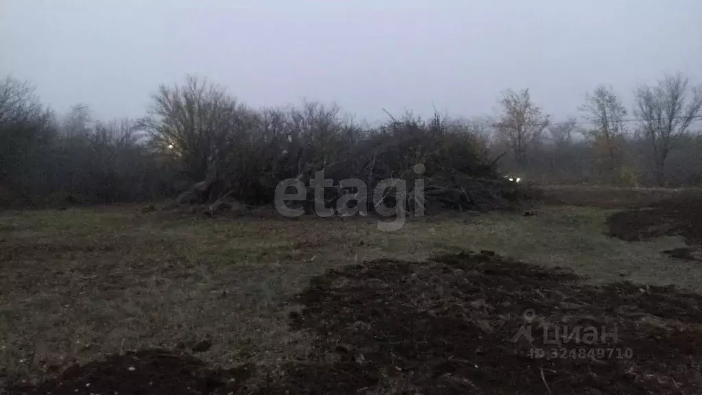 Участок в Ростовская область, Батайск Весна ДНТ, ул. 28-й Проезд (6.25 ... - Фото 2