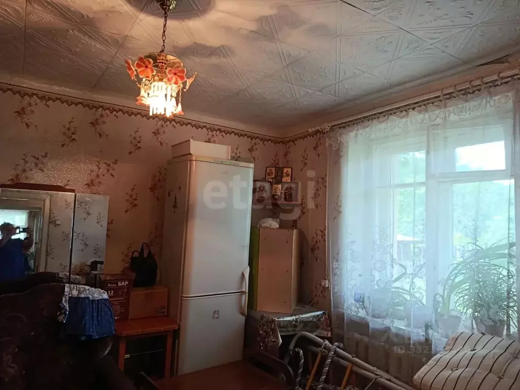 2-к кв. Псковская область, Остров Фестивальная ул., 25 (31.5 м) - Фото 2
