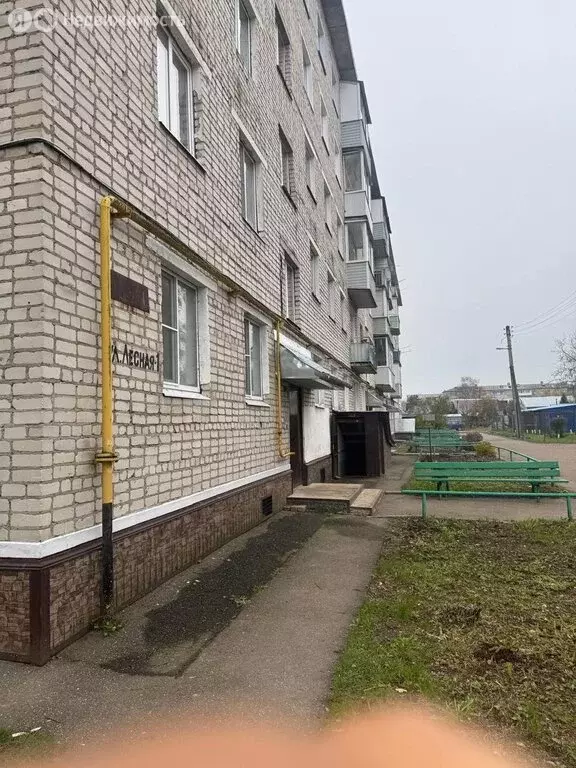 1-комнатная квартира: Бавлены, Лесная улица, 1 (31.5 м) - Фото 2