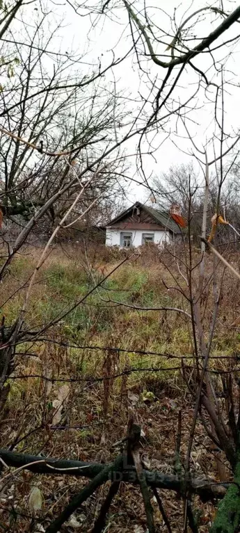 Дом в Татарстан, Пестречинский район, с. Кулаево Нагорная ул. (23 м) - Фото 0