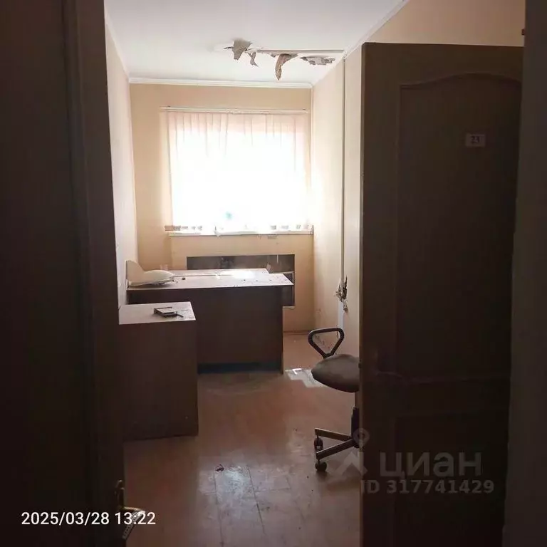 Помещение свободного назначения в Оренбургская область, Оренбург ... - Фото 1