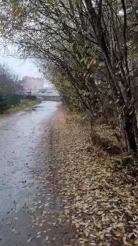 Участок в Московская область, Наро-Фоминский городской округ, д. ... - Фото 2