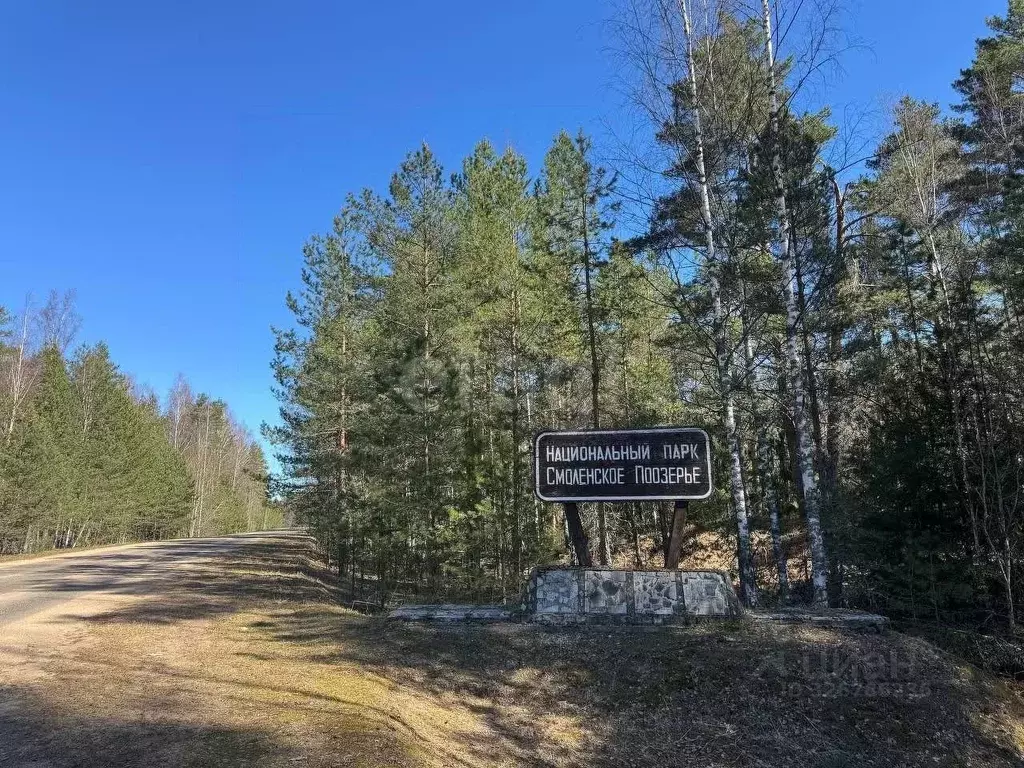Участок в Смоленская область, Демидовский муниципальный округ, д. ... - Фото 1