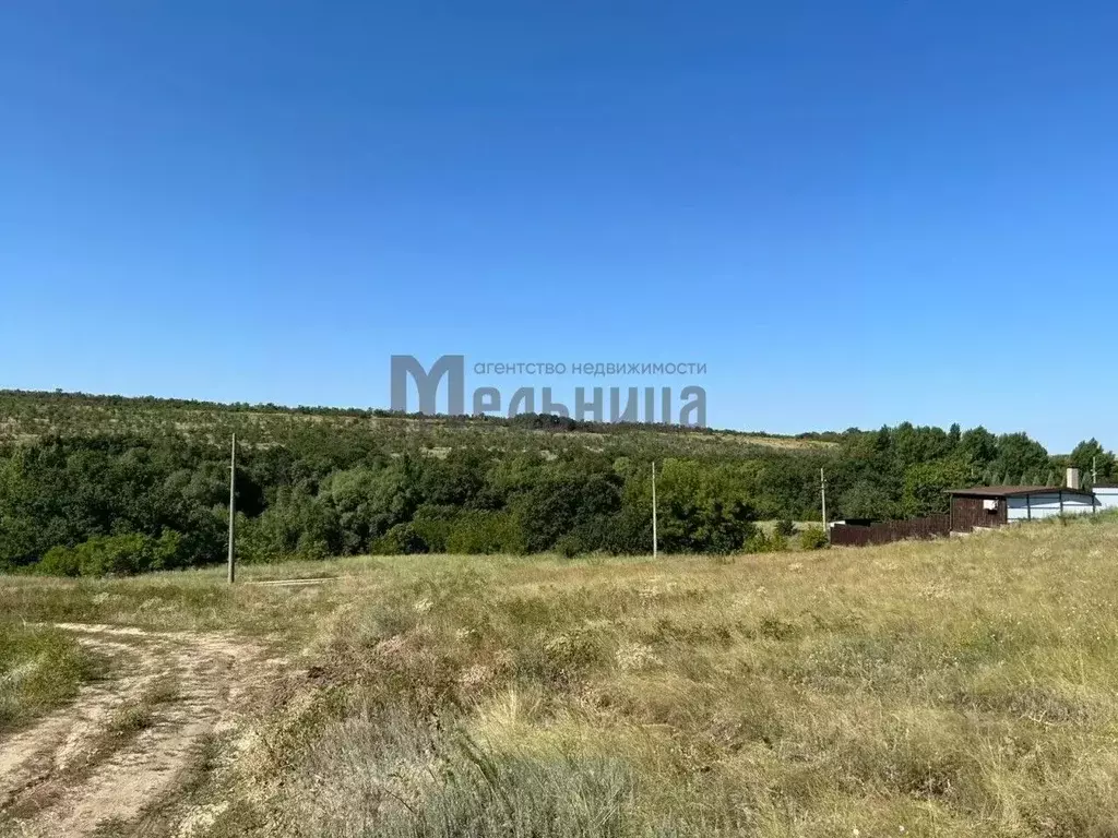 Участок в Волгоградская область, Городищенский район, Царицынское ... - Фото 2