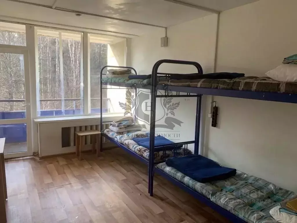 Комната Санкт-Петербург Приморское ш., 4к2АЛ (17.0 м) - Фото 1