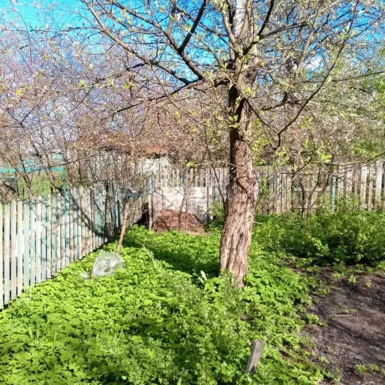 Участок в Ярославская область, Ярославль Нефтяник-1 СНТ, 278 (3.2 ... - Фото 2