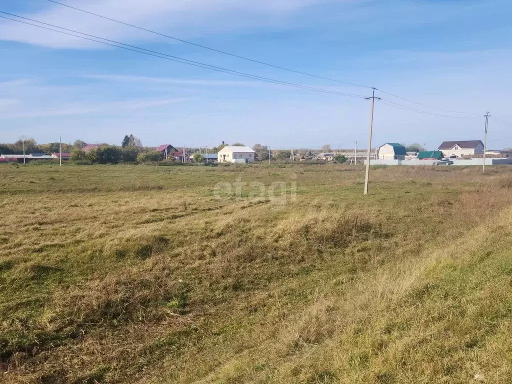 Участок в Новосибирская область, Новосибирский район, Толмачевский ... - Фото 1