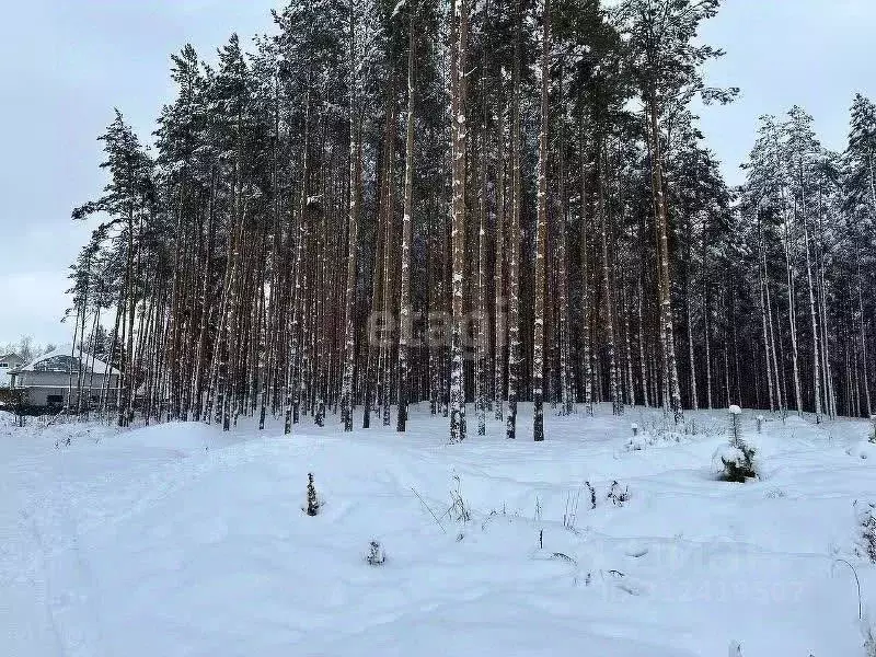 Участок в Нижегородская область, Нижний Новгород ул. Александра ... - Фото 1