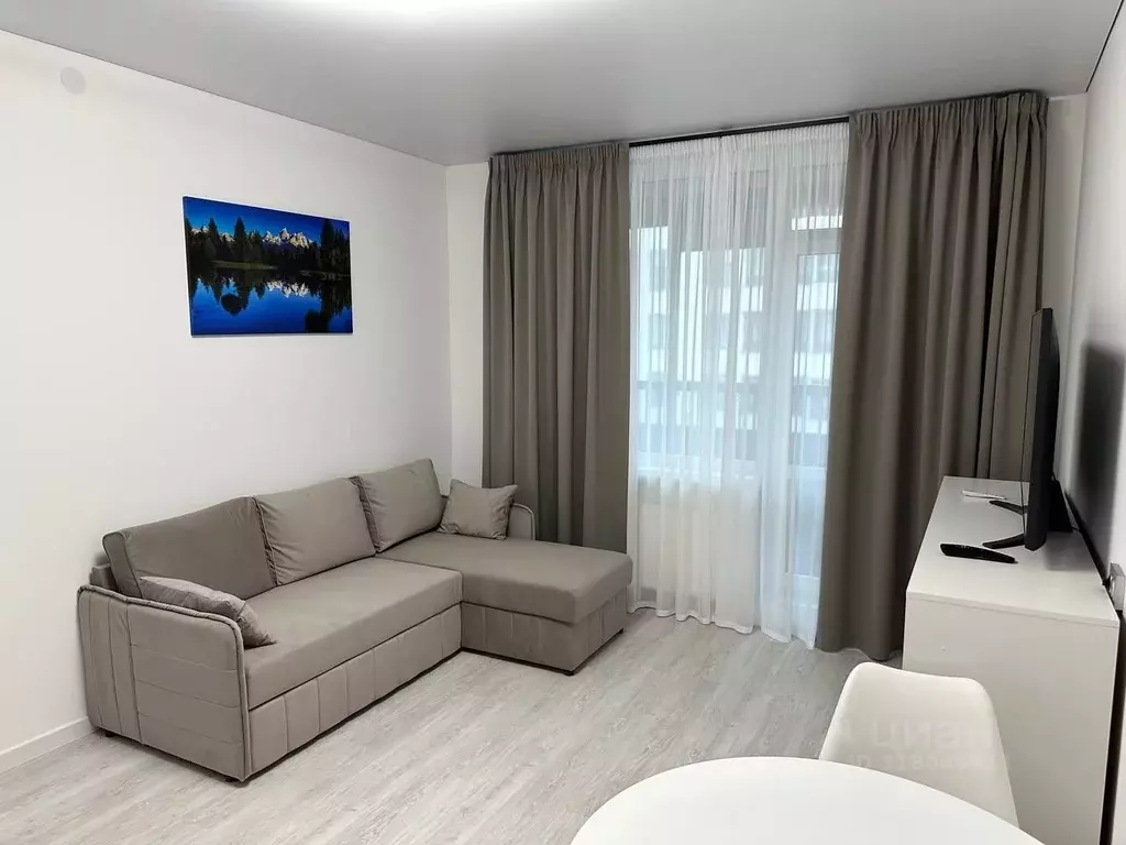 Студия Санкт-Петербург просп. Ветеранов, 204 (24.3 м) - Фото 1