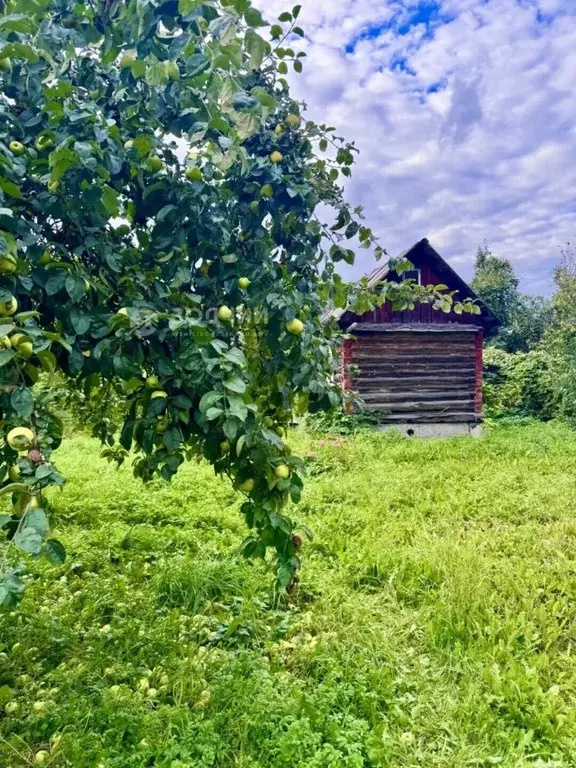 Участок в Чувашия, Чебоксары ул. Низами, 6Б (6.0 сот.) - Фото 2