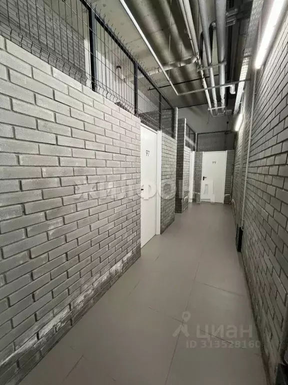 Помещение свободного назначения в Новосибирская область, Новосибирск ... - Фото 0