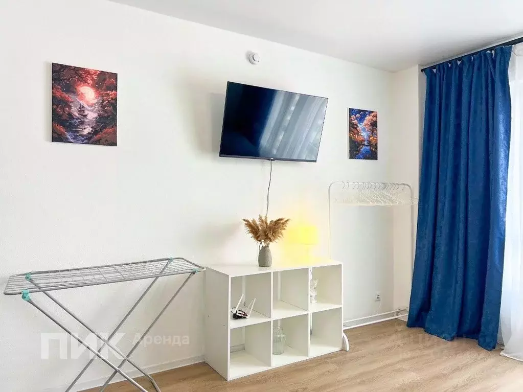 Студия Москва Муравская ул., 38Бк4 (25.3 м) - Фото 1