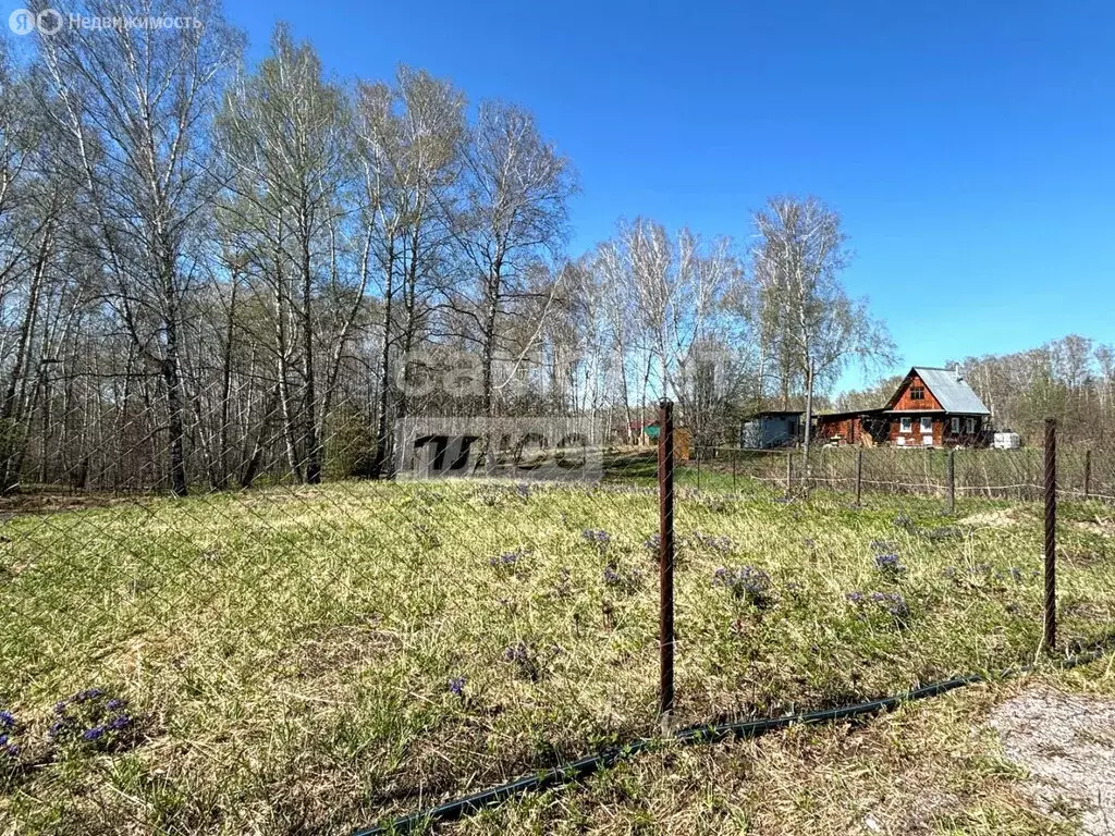 Участок в Барышевский сельсовет, НСТ Родник (12 м) - Фото 1