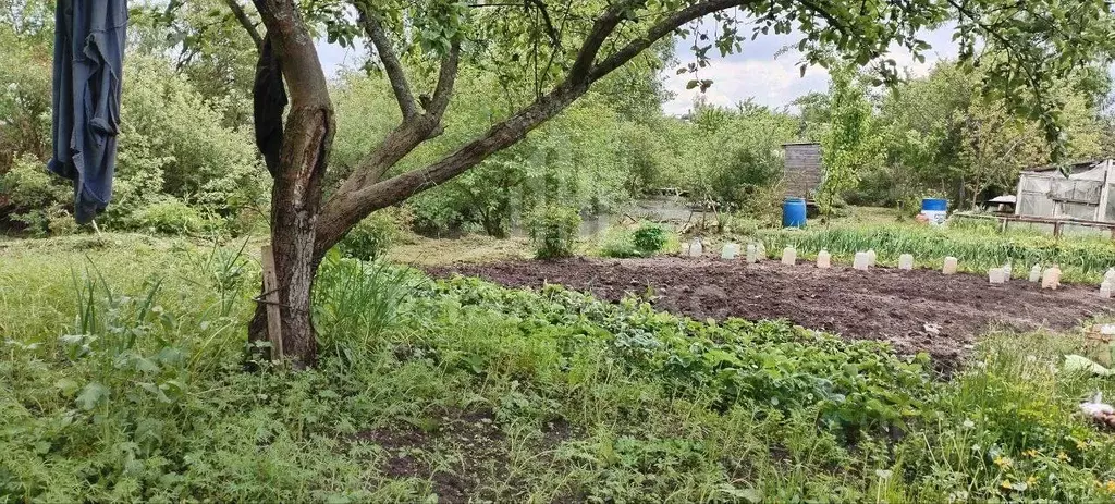 Участок в Брянская область, Брянск СО Мечта тер., ул. Заречная (5.3 ... - Фото 1