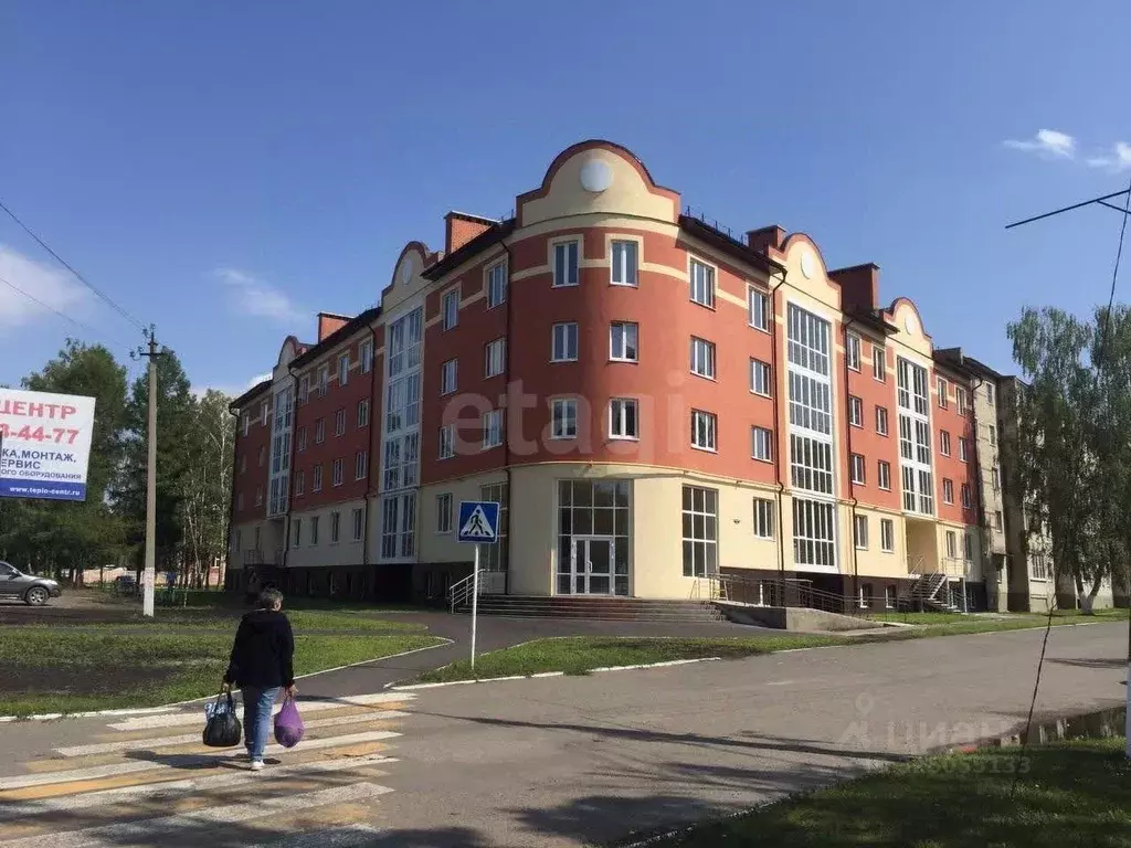 Помещение свободного назначения в Мордовия, Чамзинка пгт ул. ... - Фото 1