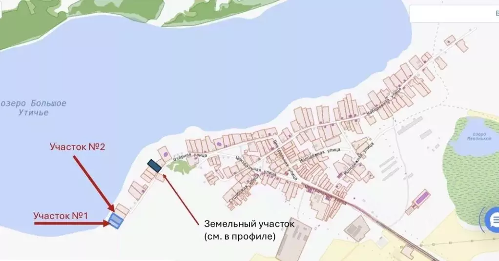 Участок в Алтайский край, Тюменцевский район, с. Грязново Озерная ул. ... - Фото 2