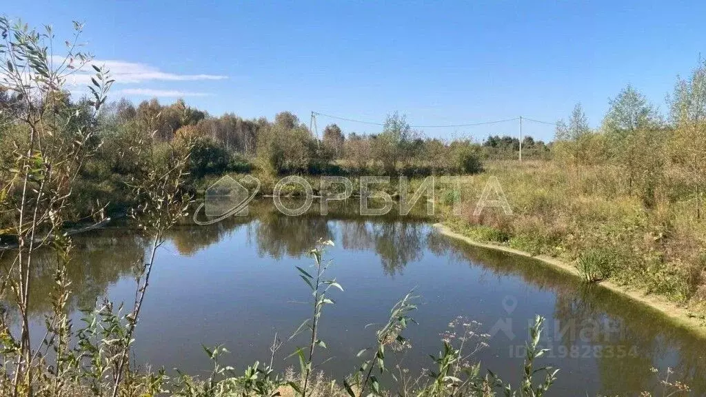 Участок в Тюменская область, Нижнетавдинский район, Царицыно СНТ ул. ... - Фото 1