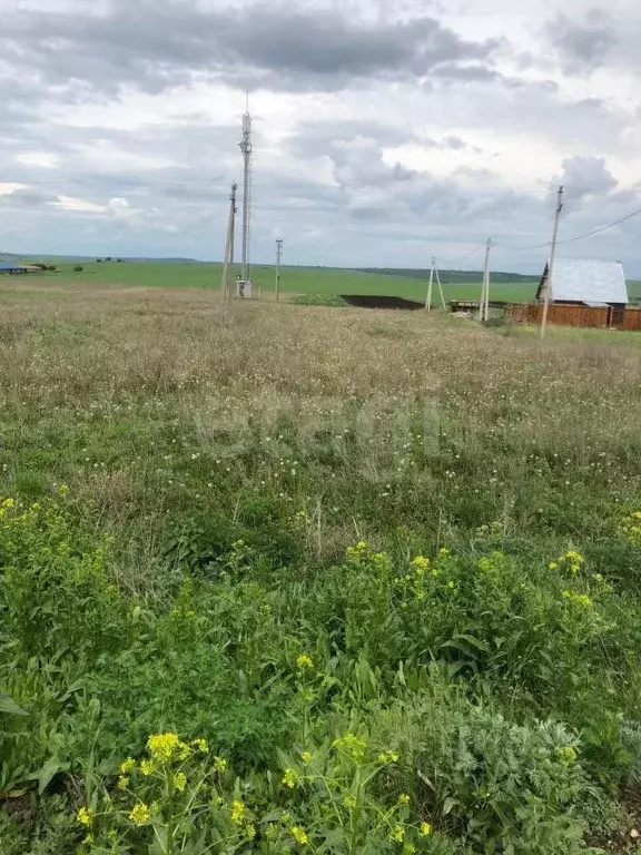 Участок в Мордовия, Саранск городской округ, Николаевка рп ул. Мирная ... - Фото 2
