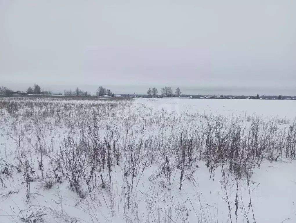 Участок в Костромская область, Костромской район, Шунгенское с/пос, д. ... - Фото 2