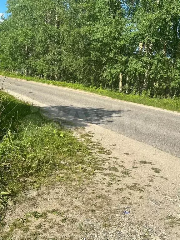 Участок 13 сот. (ИЖС) - Фото 1