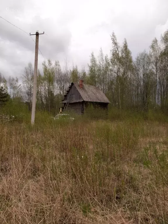 Участок в Чудовский район, деревня Вяжищи, Лесная улица (20.8 м) - Фото 0