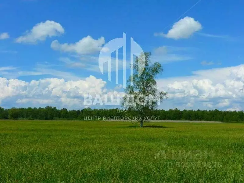 Участок в Челябинская область, Красноармейский муниципальный округ, ... - Фото 1