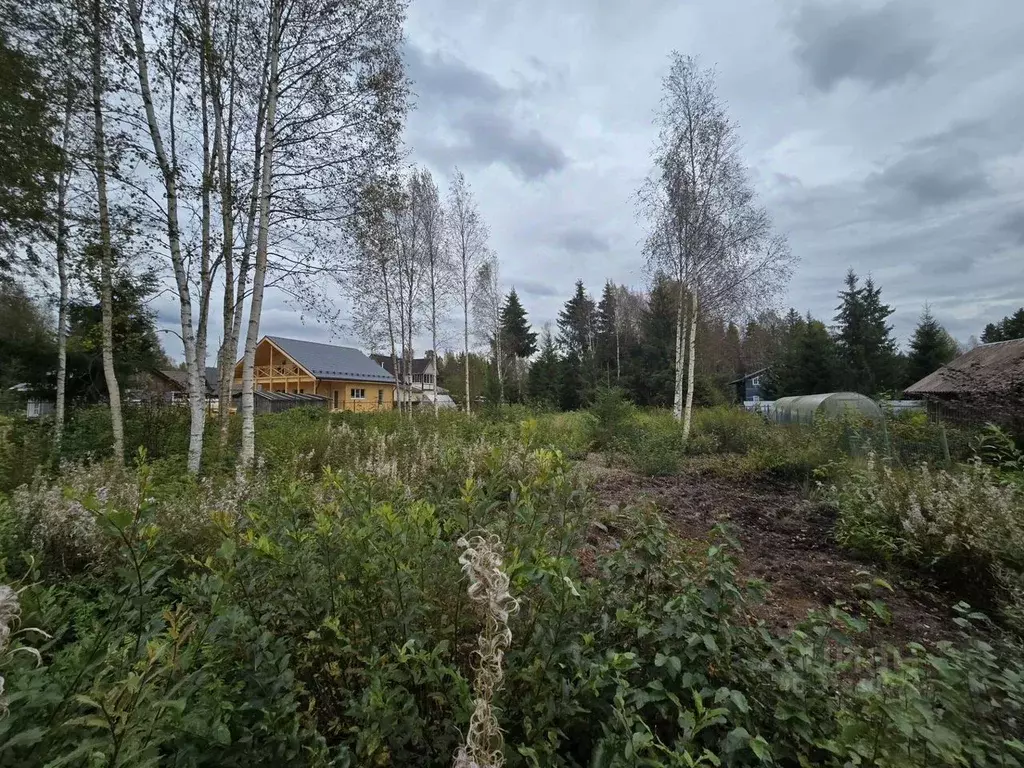Участок в Ленинградская область, Всеволожский район, Агалатовское ... - Фото 2
