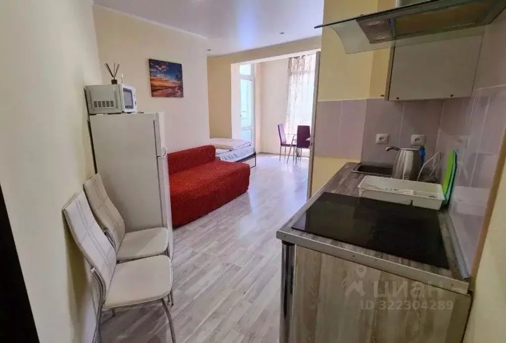 1-к кв. Краснодарский край, Сочи Центральный мкр, пер. Горького, 18 ... - Фото 2