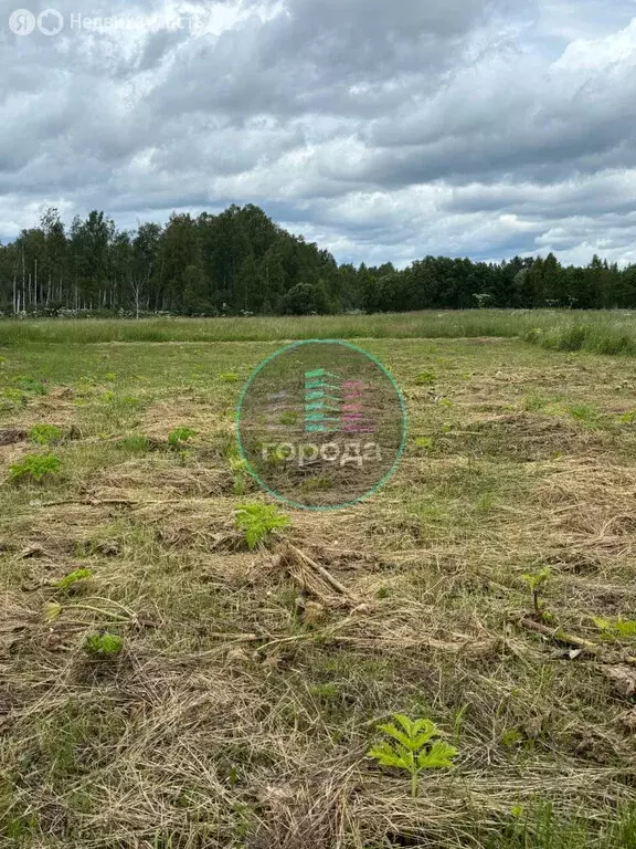 Участок в Московская область, муниципальный округ Истра, деревня ... - Фото 0