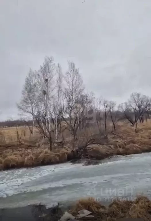 Участок в Амурская область, Благовещенский район, с. Егорьевка  ... - Фото 1