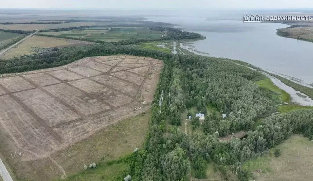 Участок в Оренбургская область, Илекский район, с. Озерки Оренбургская ... - Фото 2