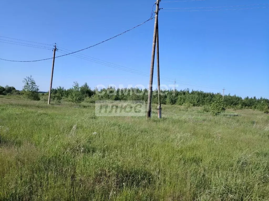Участок в Свердловская область, Тугулымский муниципальный округ, д. ... - Фото 0