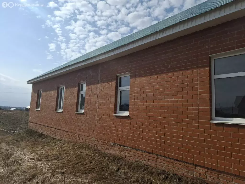 Дом в село Нижнеяркеево, Илишевская улица (100 м) - Фото 2