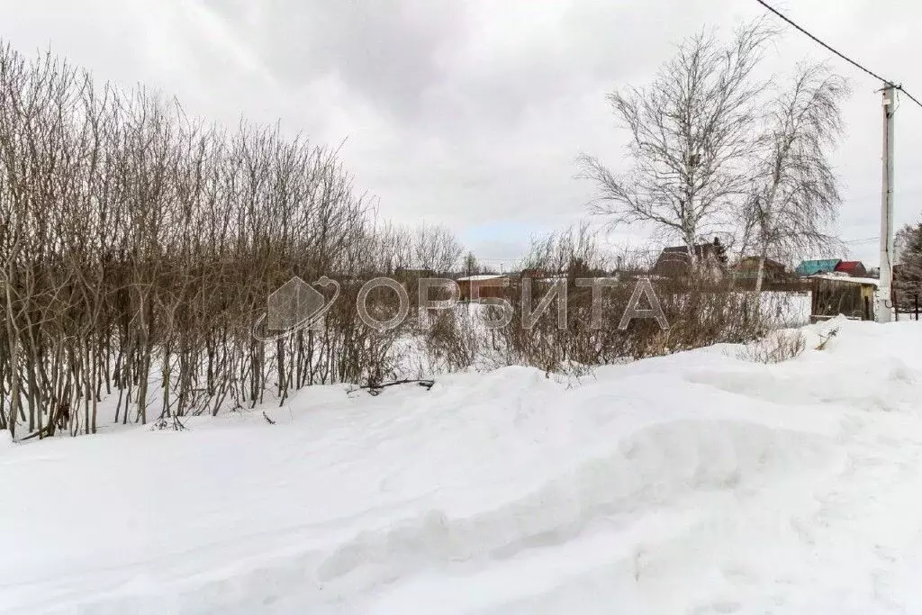 Участок в Тюменская область, Тюмень Якорь садовое товарищество, ул. ... - Фото 0