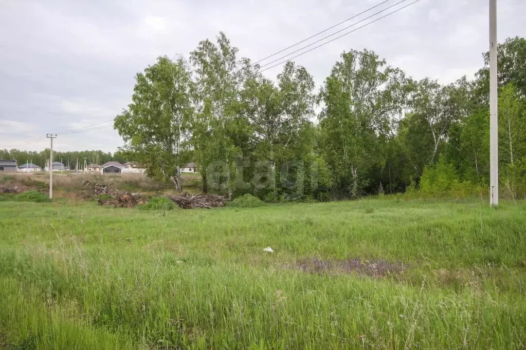 Участок в Алтайский край, Первомайский район, с. Фирсово Палитра жилой ... - Фото 1
