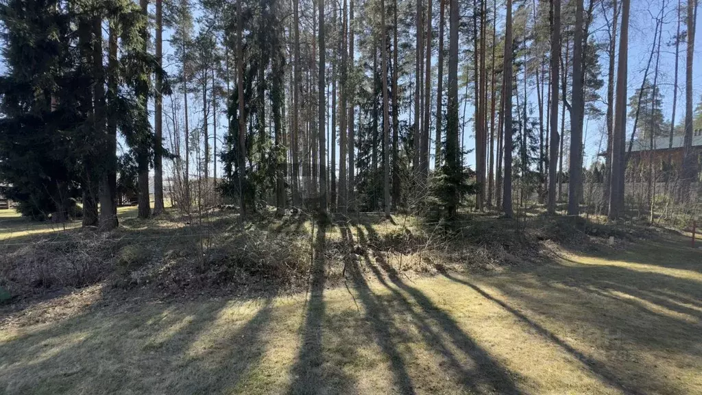 Участок в Ленинградская область, Выборгский район, Полянское с/пос, ... - Фото 0