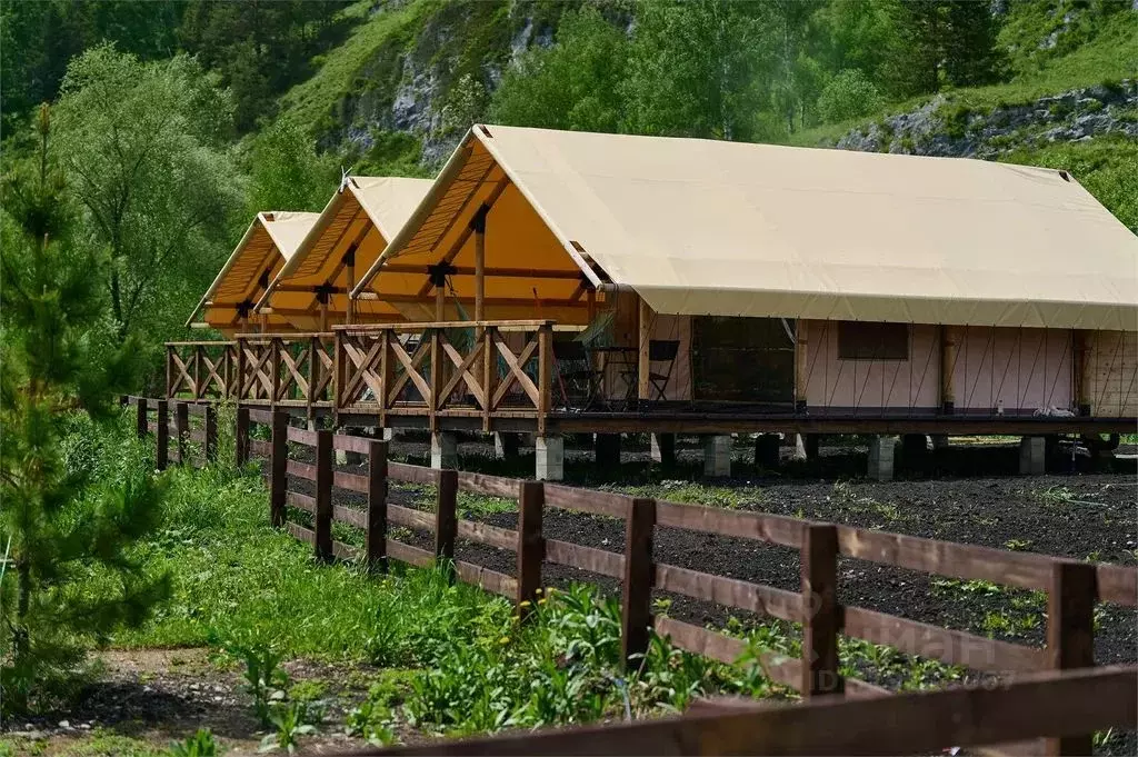 Дом в Алтайский край, Алтайский район, с. Нижнекаянча ул. Куйбышева, ... - Фото 2