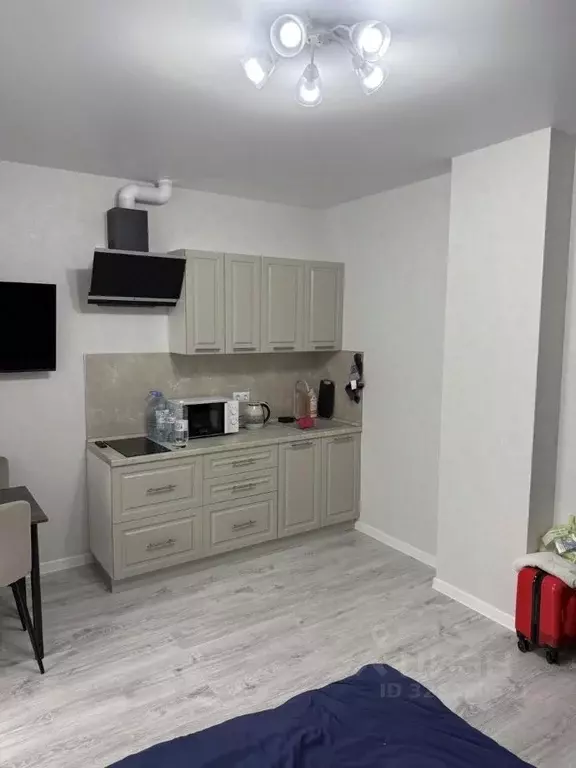 Студия Краснодарский край, Краснодар ул. Адмирала Макарова, 5 (24.0 м) - Фото 1