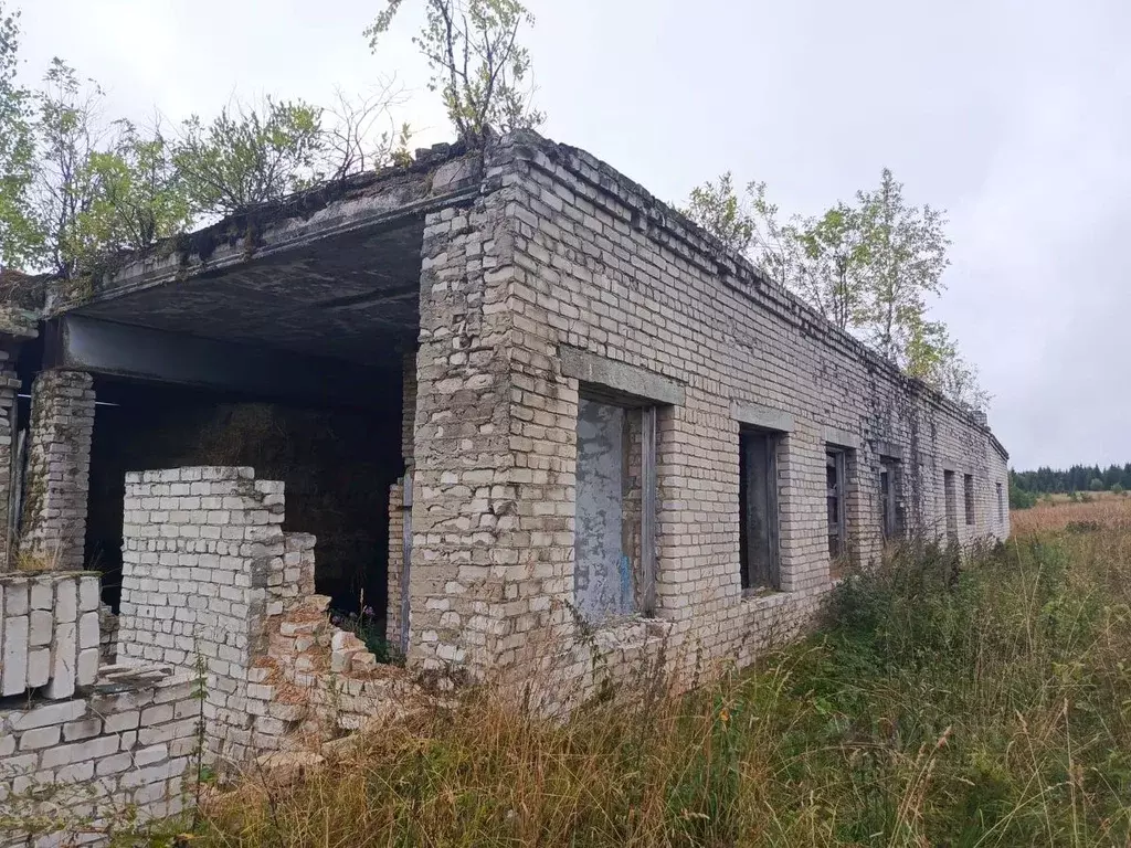 Гараж в Пермский край, Березники муниципальный округ, с. Щекино ул. ... - Фото 1