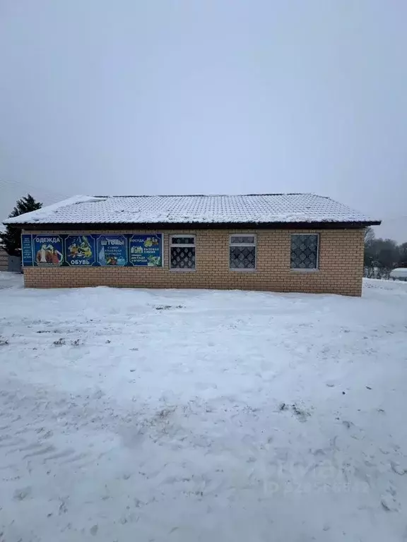 Помещение свободного назначения в Смоленская область, Починковский ... - Фото 2