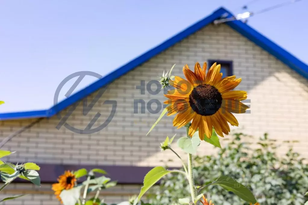 Дом в Омская область, Омск ул. 5-я Островская (70 м) - Фото 1