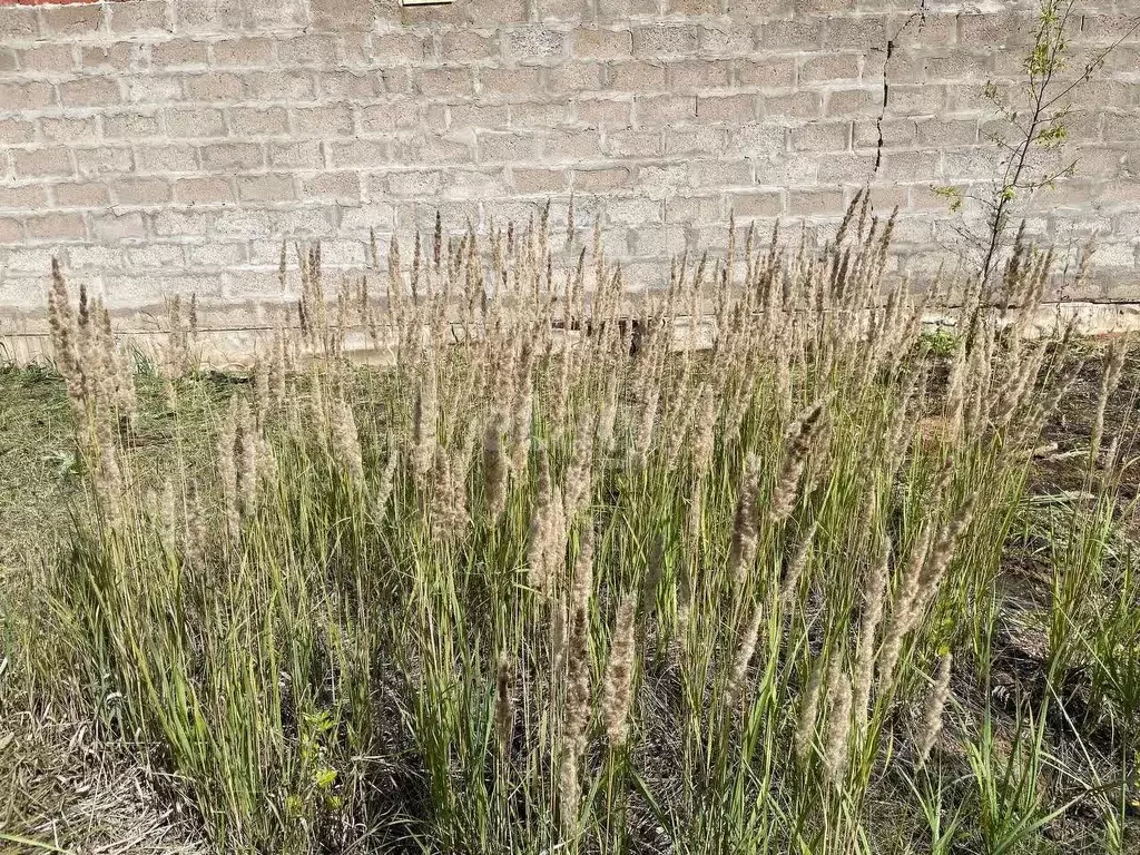 Участок в Башкортостан, Уфа ул. Габдрахмана Кадырова (7.7 сот.) - Фото 2