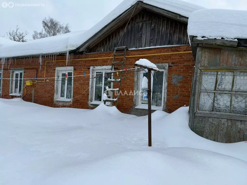 1-комнатная квартира: деревня Носово-1, Центральная улица, 4 (26.3 м) - Фото 1