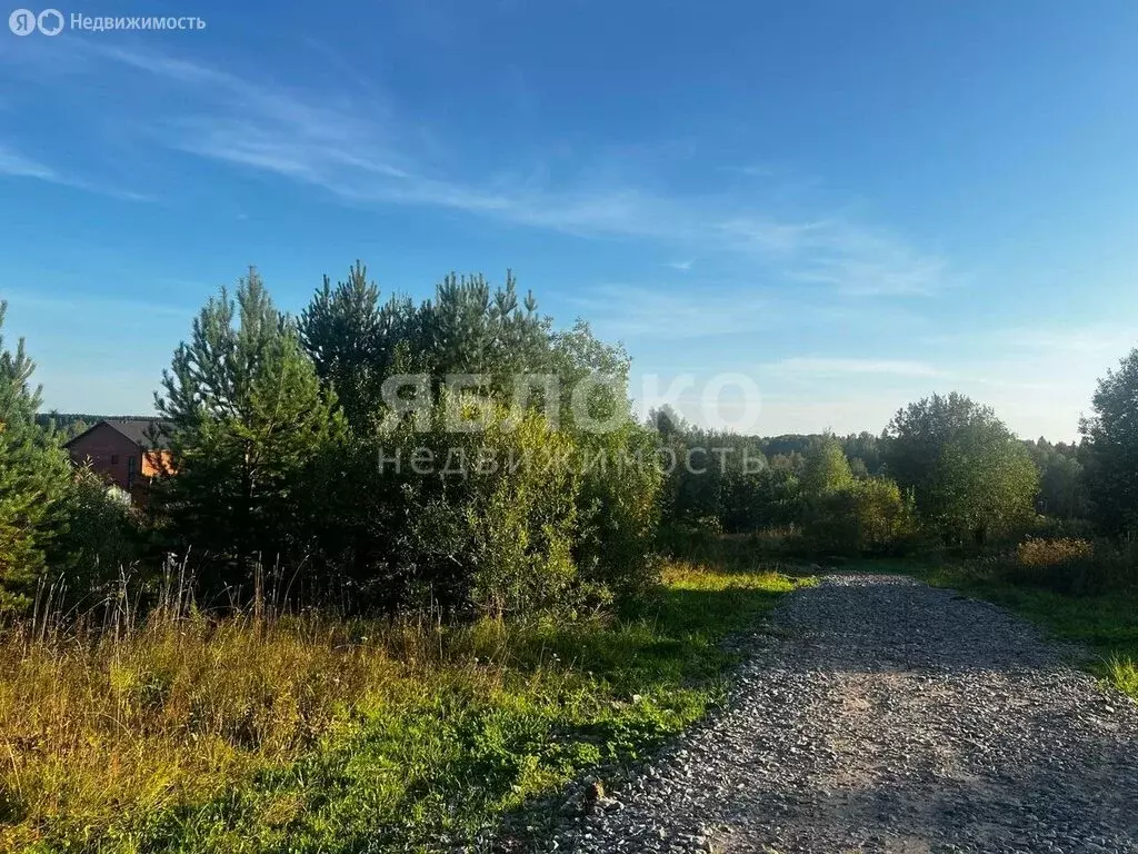 Участок в Пермский край, муниципальный округ Березники, село Романово ... - Фото 2