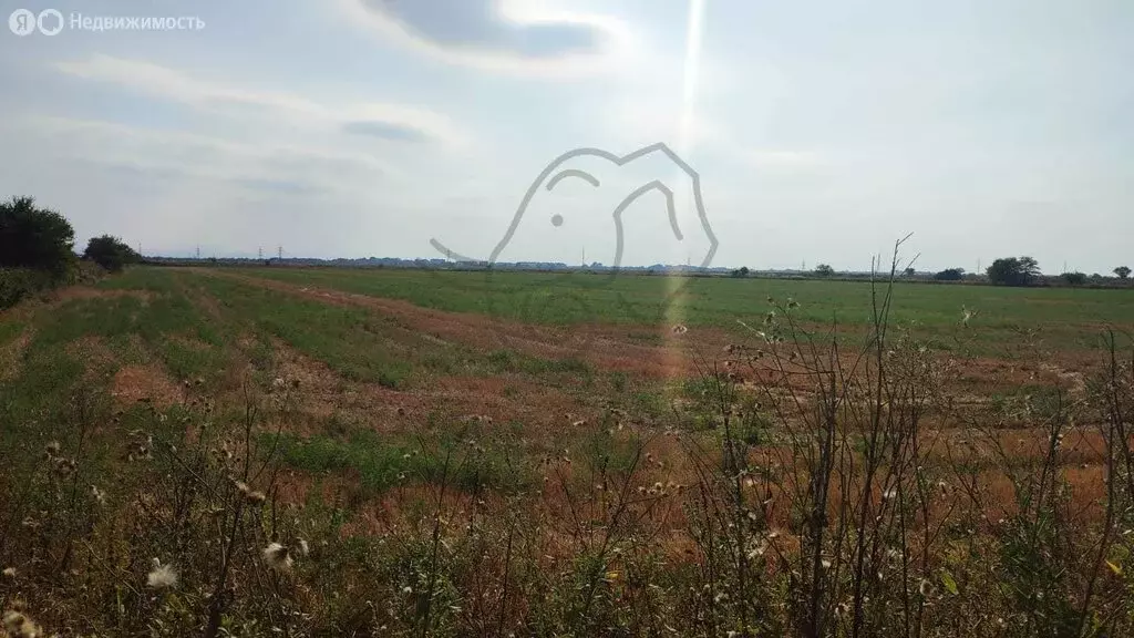 Участок в Энемское городское поселение (98 м) - Фото 2